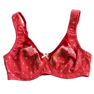 Anita Comfort Size 34C Underwire Bra Red Tan Print